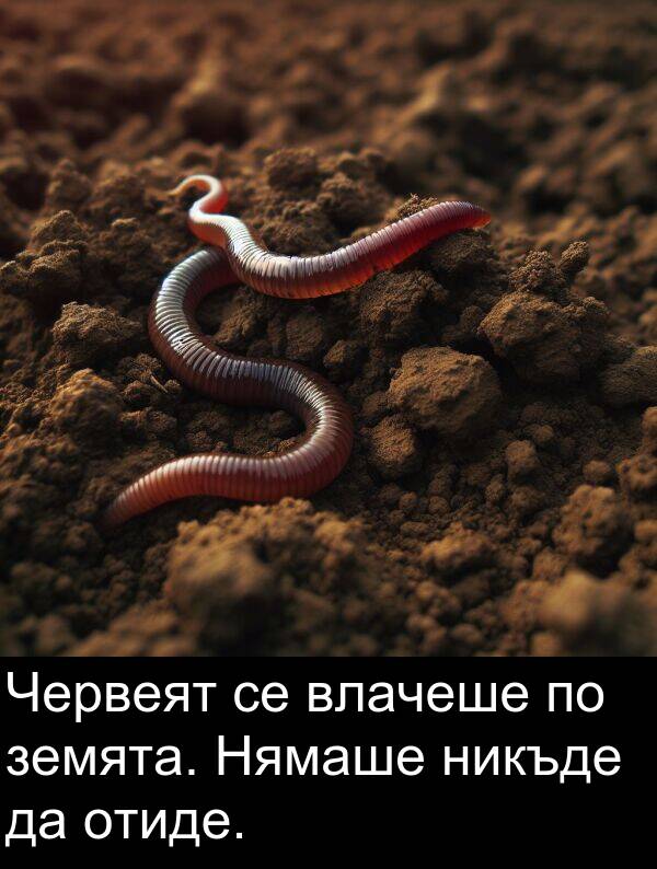 никъде: Червеят се влачеше по земята. Нямаше никъде да отиде.