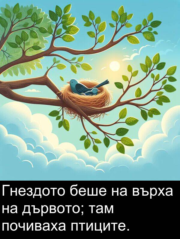 дървото: Гнездото беше на върха на дървото; там почиваха птиците.