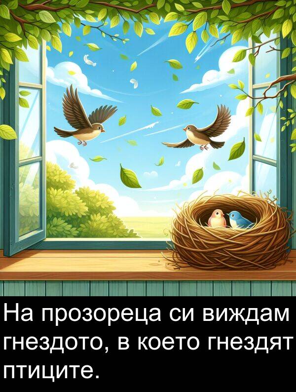 прозореца: На прозореца си виждам гнездото, в което гнездят птиците.