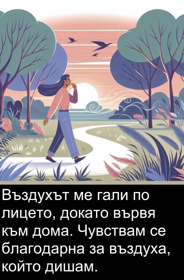 благодарна: Въздухът ме гали по лицето, докато вървя към дома. Чувствам се благодарна за въздуха, който дишам.