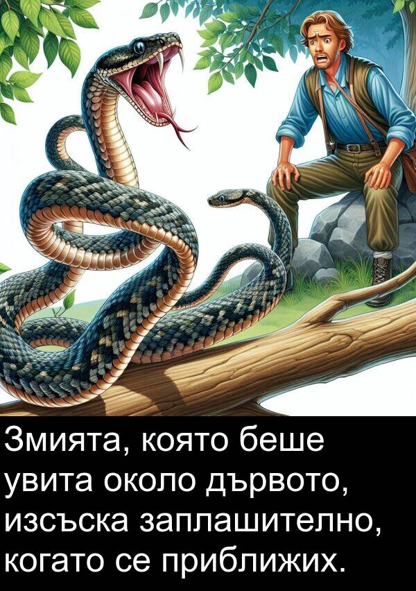 дървото: Змията, която беше увита около дървото, изсъска заплашително, когато се приближих.