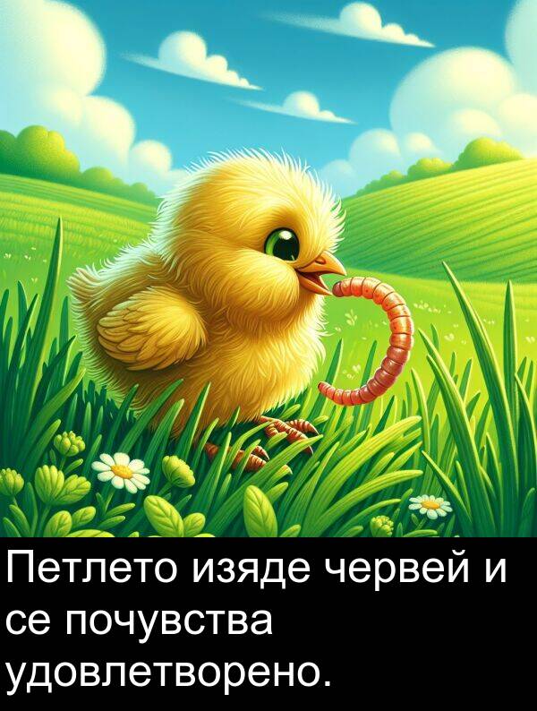 удовлетворено: Петлето изяде червей и се почувства удовлетворено.