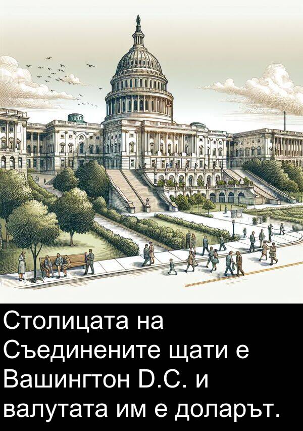 валутата: Столицата на Съединените щати е Вашингтон D.C. и валутата им е доларът.