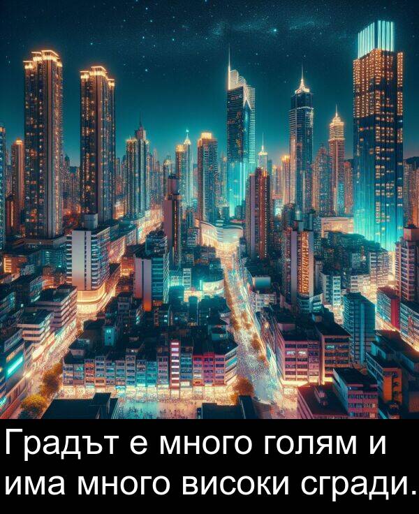 сгради: Градът е много голям и има много високи сгради.