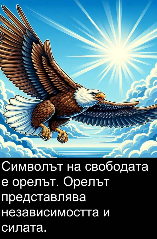 представлява: Символът на свободата е орелът. Орелът представлява независимостта и силата.