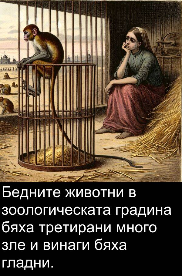 зоологическата: Бедните животни в зоологическата градина бяха третирани много зле и винаги бяха гладни.