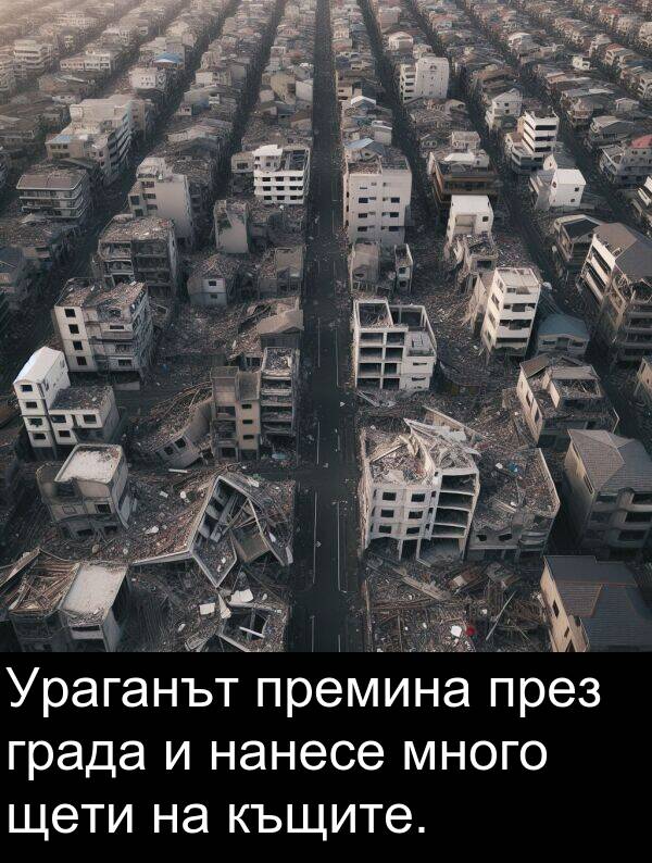 нанесе: Ураганът премина през града и нанесе много щети на къщите.