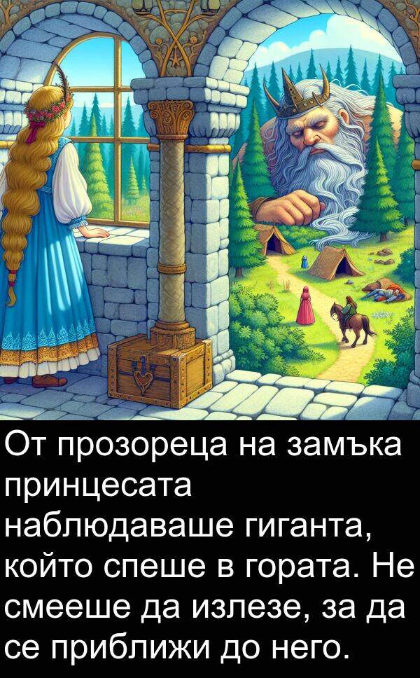 прозореца: От прозореца на замъка принцесата наблюдаваше гиганта, който спеше в гората. Не смееше да излезе, за да се приближи до него.