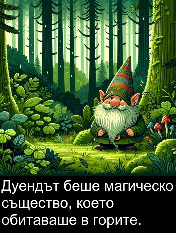 магическо: Дуендът беше магическо същество, което обитаваше в горите.