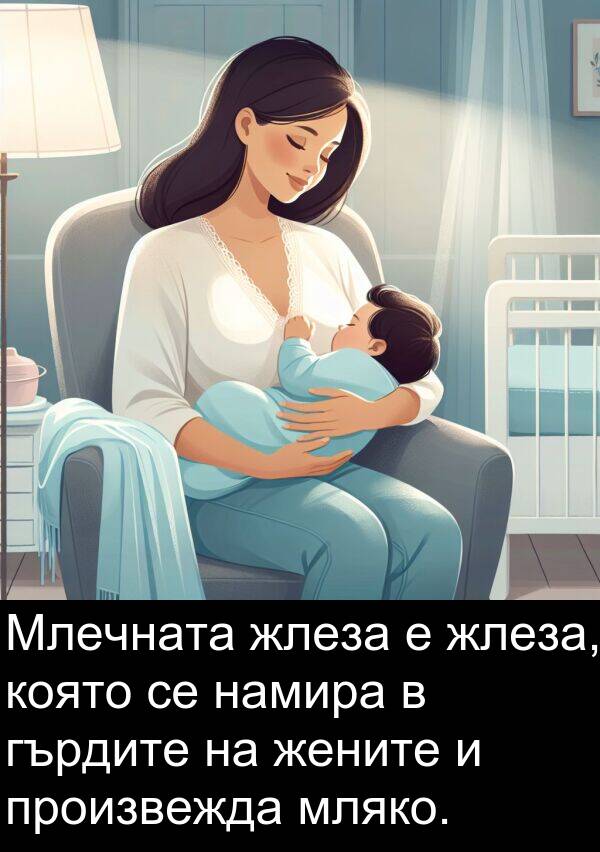 намира: Млечната жлеза е жлеза, която се намира в гърдите на жените и произвежда мляко.