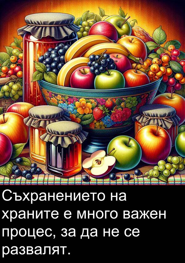 развалят: Съхранението на храните е много важен процес, за да не се развалят.