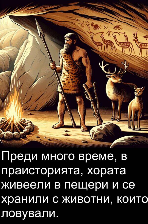 хранили: Преди много време, в праисторията, хората живеели в пещери и се хранили с животни, които ловували.