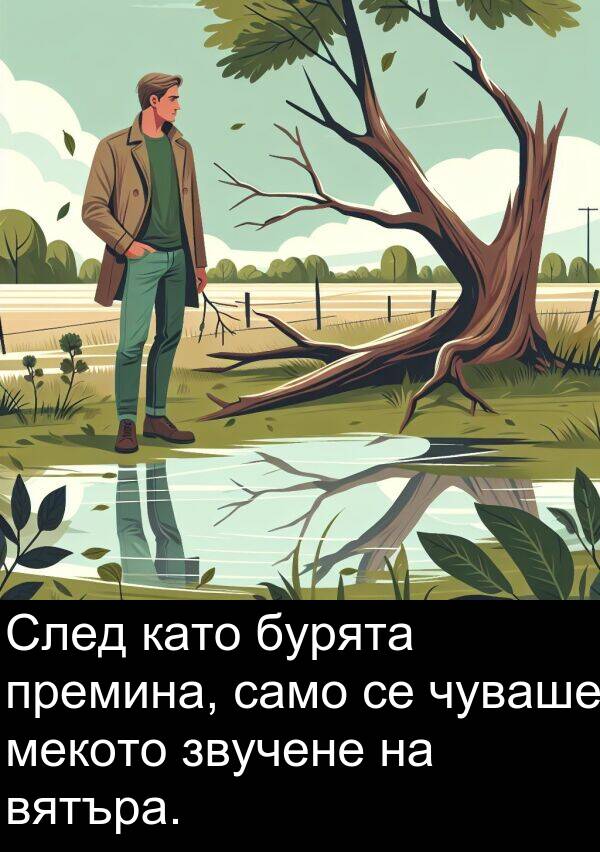 само: След като бурята премина, само се чуваше мекото звучене на вятъра.