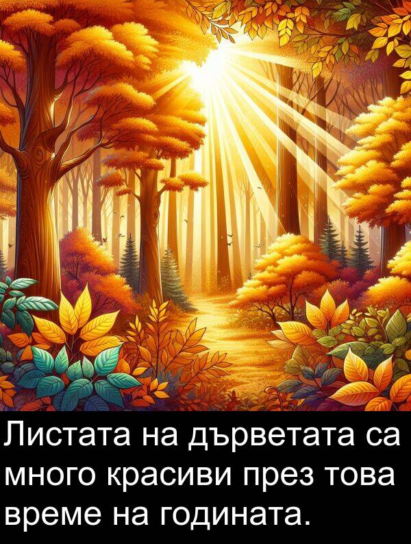 дърветата: Листата на дърветата са много красиви през това време на годината.