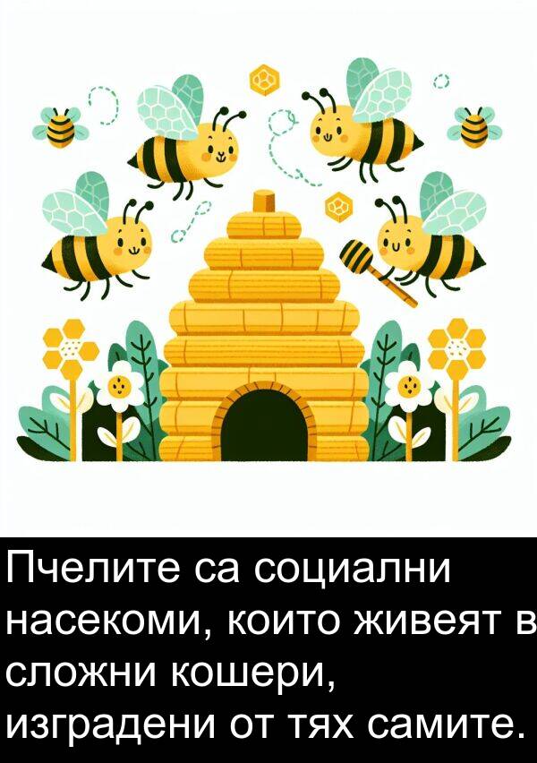 самите: Пчелите са социални насекоми, които живеят в сложни кошери, изградени от тях самите.