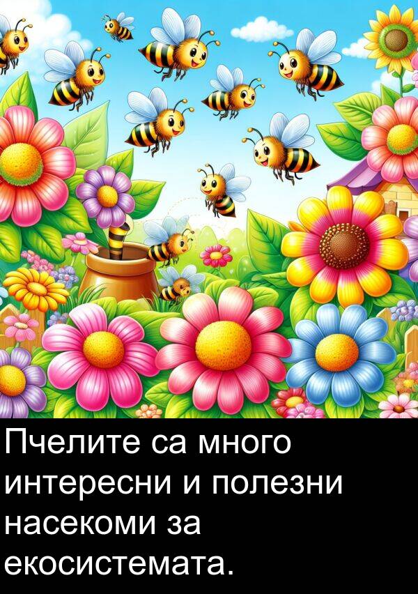 полезни: Пчелите са много интересни и полезни насекоми за екосистемата.