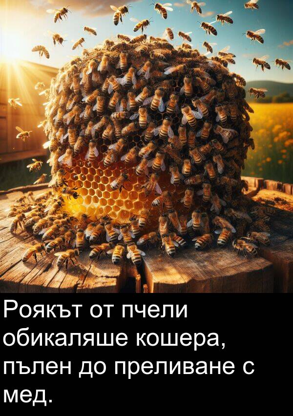 обикаляше: Роякът от пчели обикаляше кошера, пълен до преливане с мед.