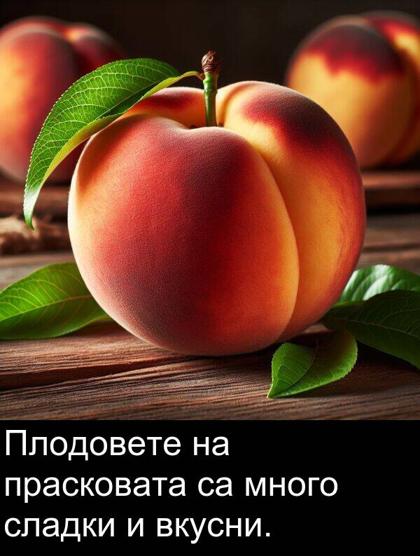 прасковата: Плодовете на прасковата са много сладки и вкусни.