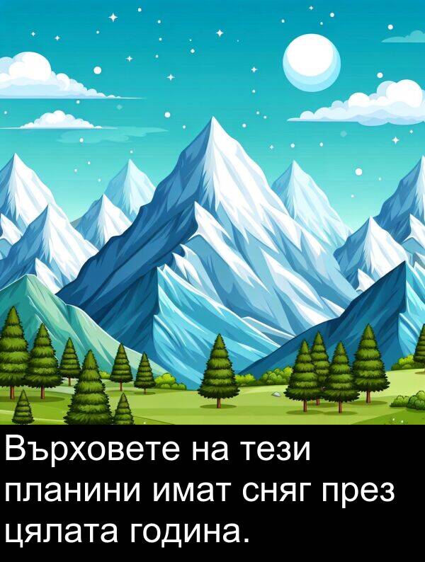 цялата: Върховете на тези планини имат сняг през цялата година.