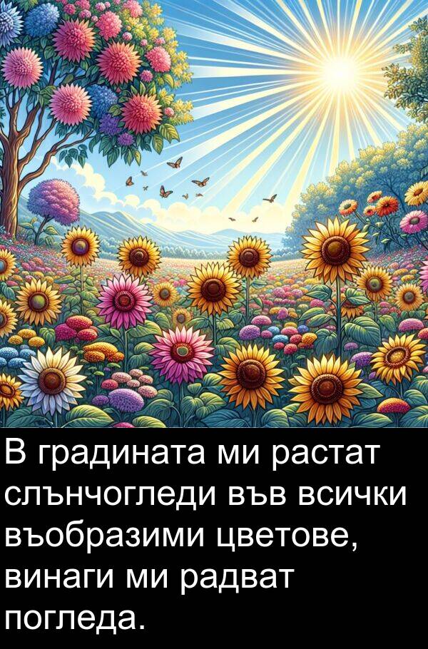 радват: В градината ми растат слънчогледи във всички въобразими цветове, винаги ми радват погледа.