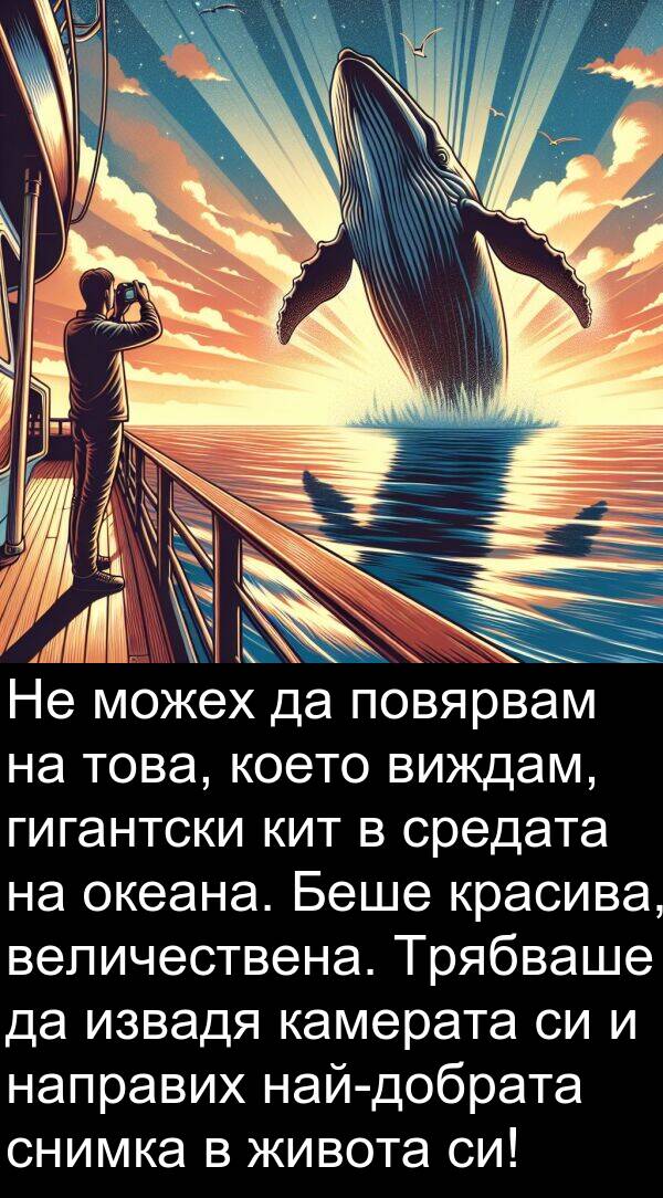 извадя: Не можех да повярвам на това, което виждам, гигантски кит в средата на океана. Беше красива, величествена. Трябваше да извадя камерата си и направих най-добрата снимка в живота си!