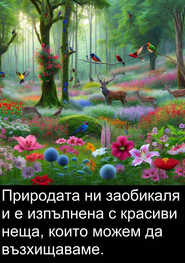 можем: Природата ни заобикаля и е изпълнена с красиви неща, които можем да възхищаваме.
