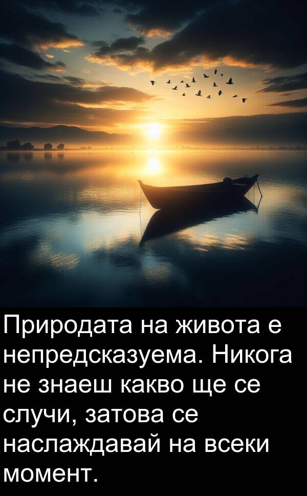 наслаждавай: Природата на живота е непредсказуема. Никога не знаеш какво ще се случи, затова се наслаждавай на всеки момент.
