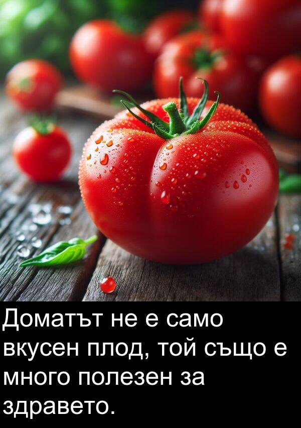 само: Доматът не е само вкусен плод, той също е много полезен за здравето.