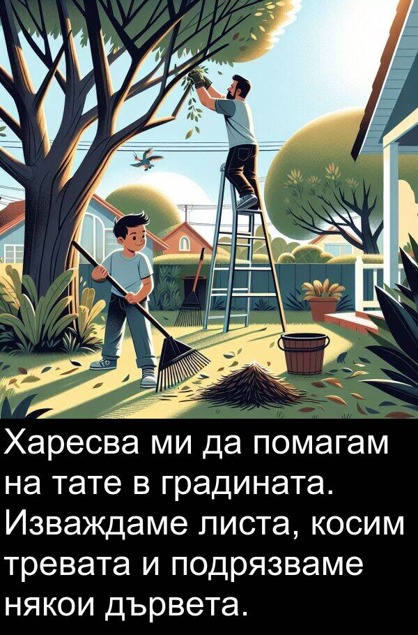 някои: Харесва ми да помагам на тате в градината. Изваждаме листа, косим тревата и подрязваме някои дървета.