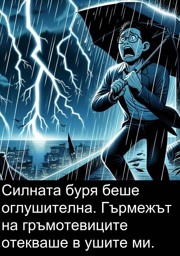 ушите: Силната буря беше оглушителна. Гърмежът на гръмотевиците отекваше в ушите ми.