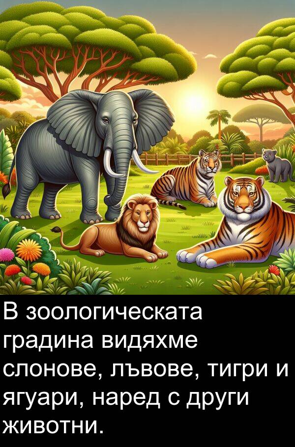 ягуари: В зоологическата градина видяхме слонове, лъвове, тигри и ягуари, наред с други животни.
