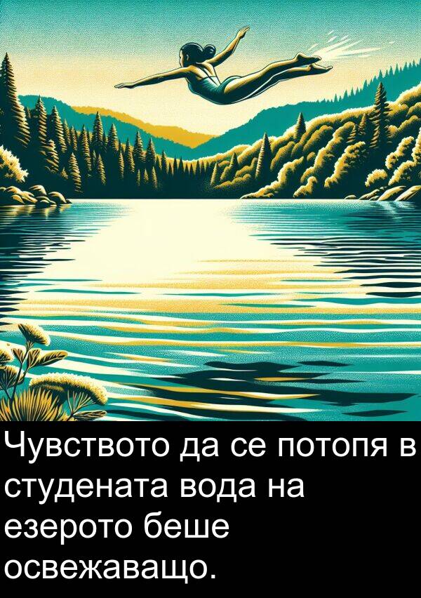 езерото: Чувството да се потопя в студената вода на езерото беше освежаващо.
