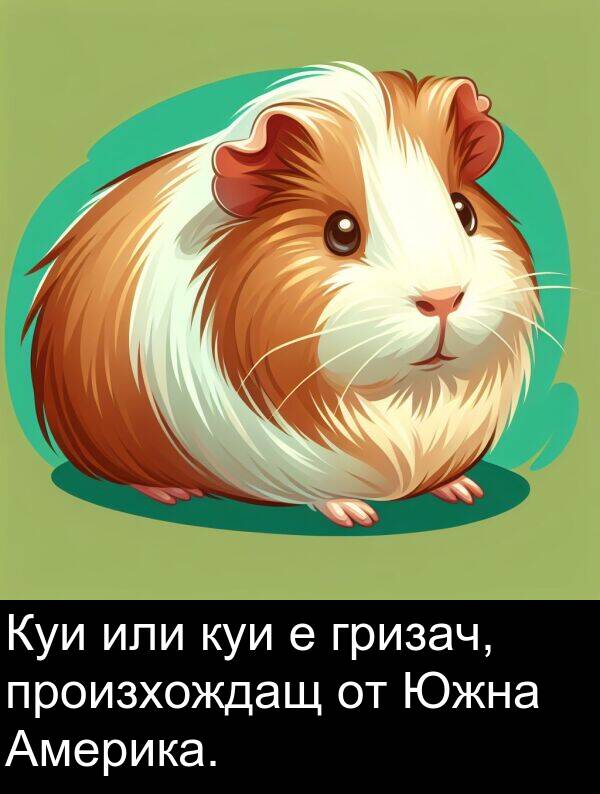 произхождащ: Куи или куи е гризач, произхождащ от Южна Америка.
