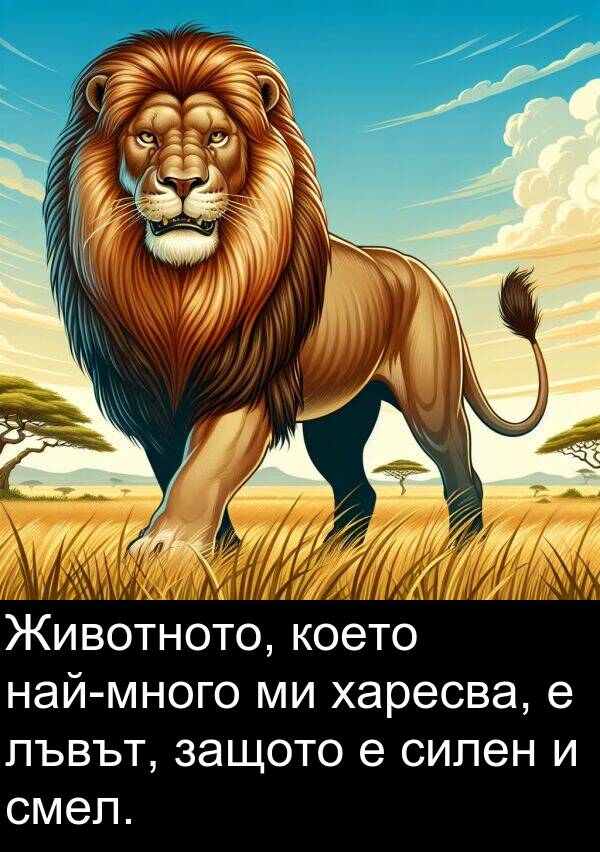 смел: Животното, което най-много ми харесва, е лъвът, защото е силен и смел.