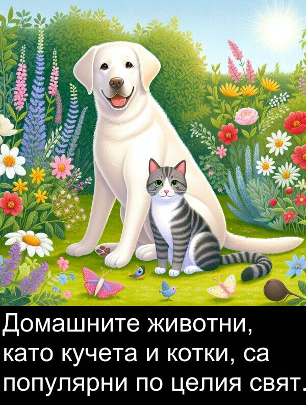 целия: Домашните животни, като кучета и котки, са популярни по целия свят.