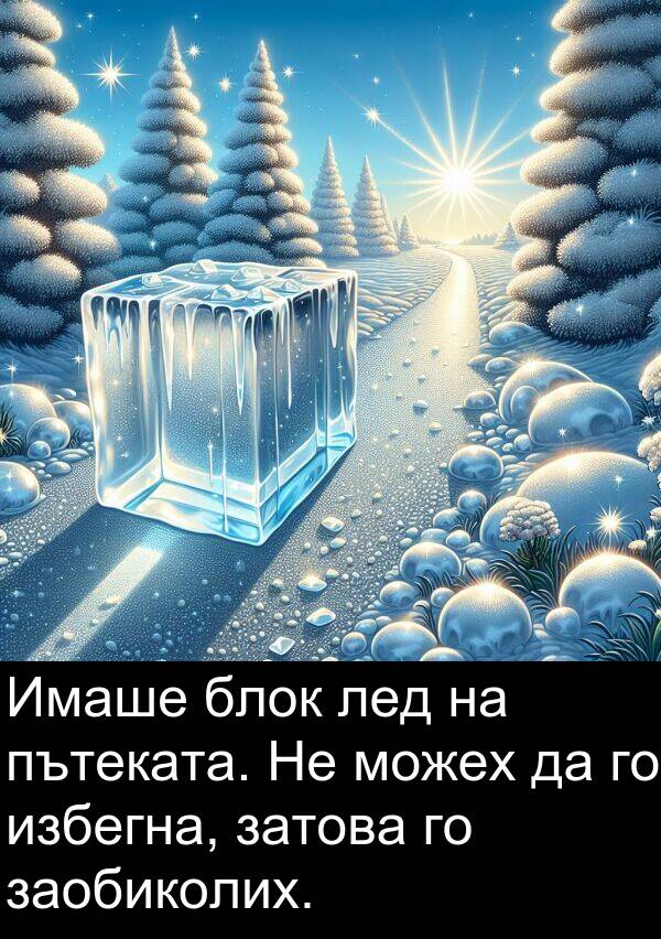можех: Имаше блок лед на пътеката. Не можех да го избегна, затова го заобиколих.