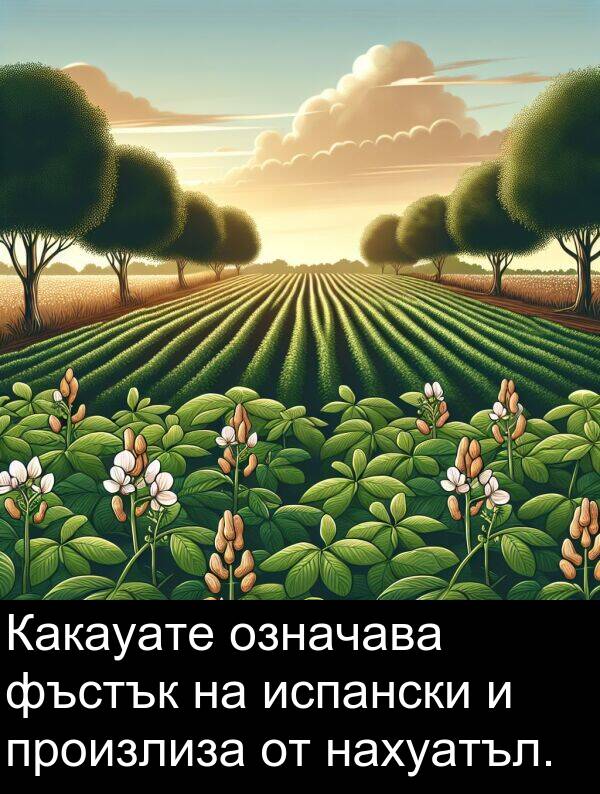 означава: Какауате означава фъстък на испански и произлиза от нахуатъл.