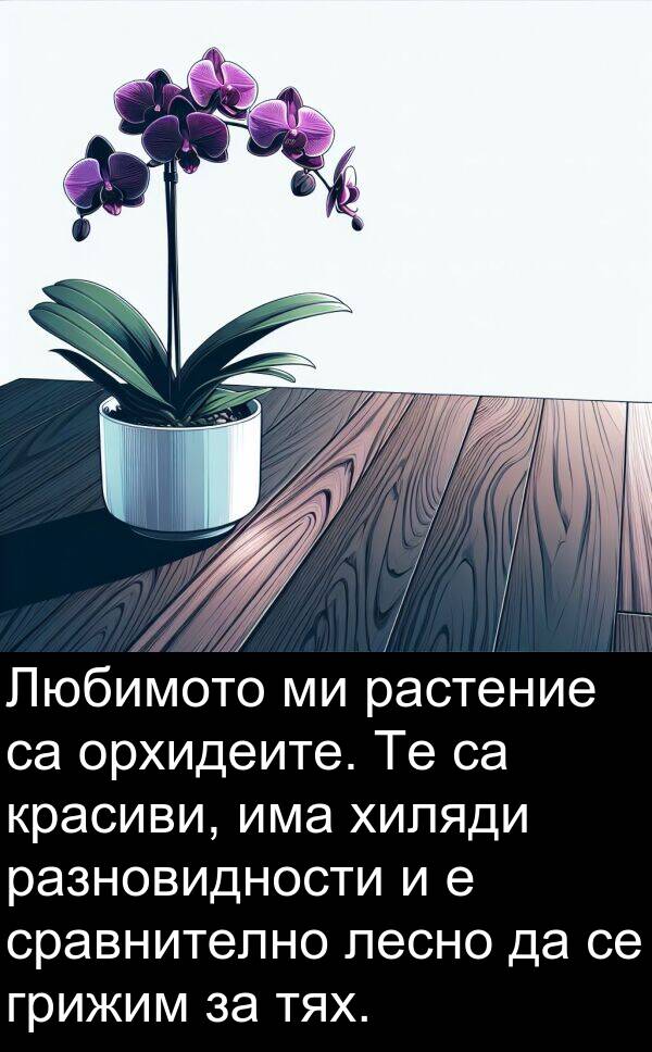 лесно: Любимото ми растение са орхидеите. Те са красиви, има хиляди разновидности и е сравнително лесно да се грижим за тях.