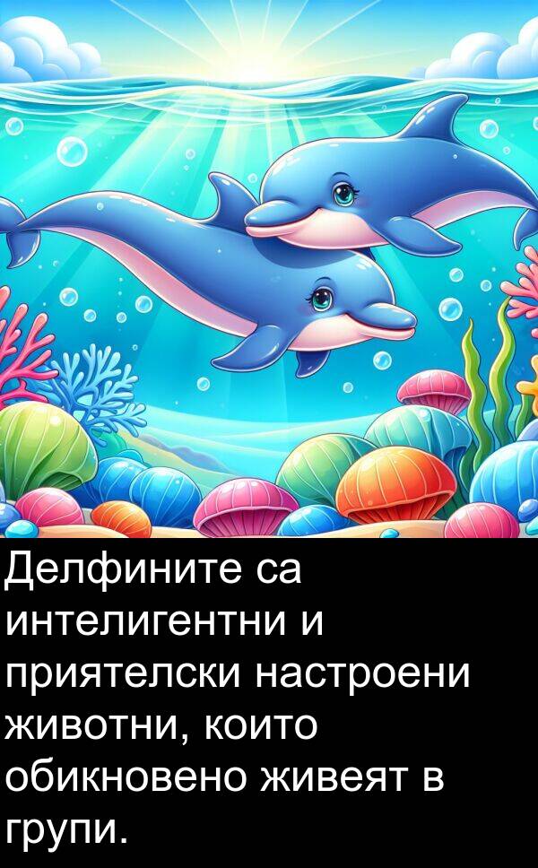 настроени: Делфините са интелигентни и приятелски настроени животни, които обикновено живеят в групи.
