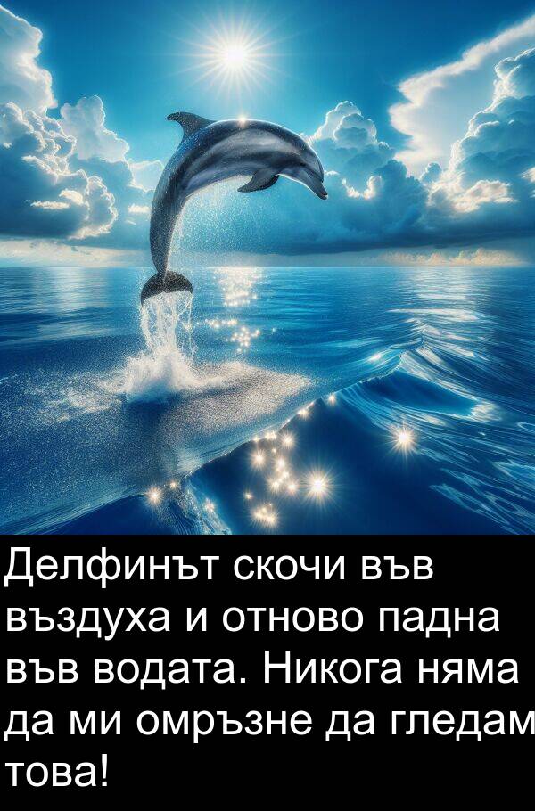 падна: Делфинът скочи във въздуха и отново падна във водата. Никога няма да ми омръзне да гледам това!