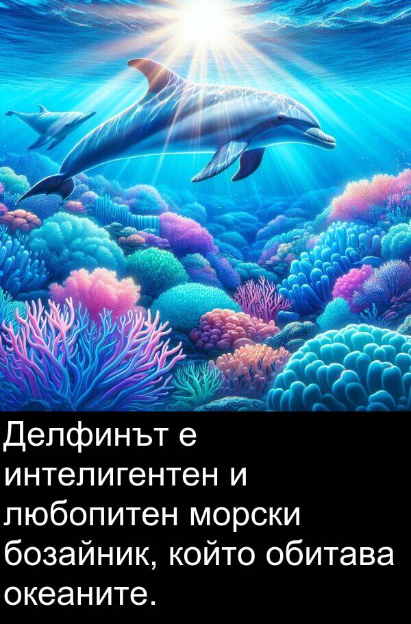 обитава: Делфинът е интелигентен и любопитен морски бозайник, който обитава океаните.