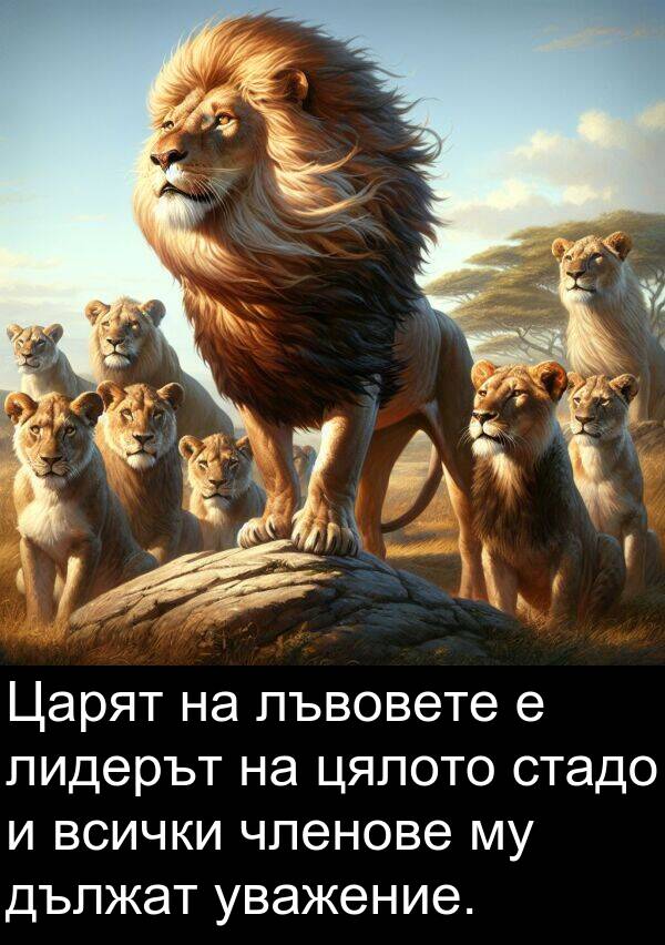 членове: Царят на лъвовете е лидерът на цялото стадо и всички членове му дължат уважение.