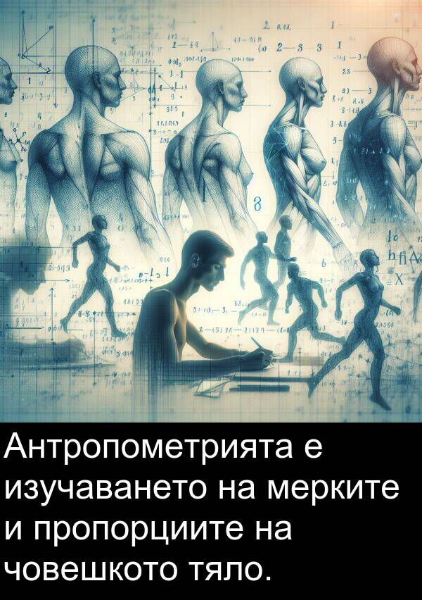 изучаването: Антропометрията е изучаването на мерките и пропорциите на човешкото тяло.
