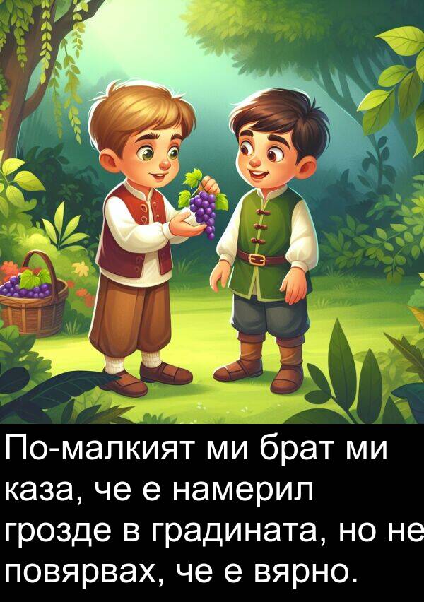 брат: По-малкият ми брат ми каза, че е намерил грозде в градината, но не повярвах, че е вярно.