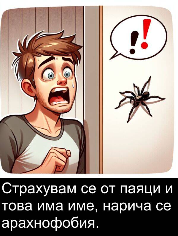 арахнофобия: Страхувам се от паяци и това има име, нарича се арахнофобия.