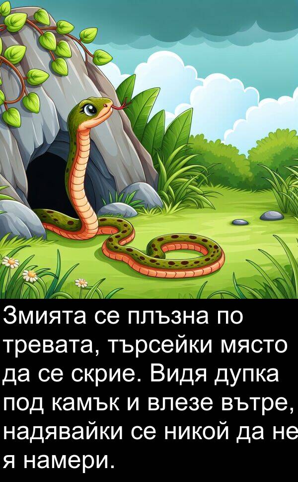 търсейки: Змията се плъзна по тревата, търсейки място да се скрие. Видя дупка под камък и влезе вътре, надявайки се никой да не я намери.