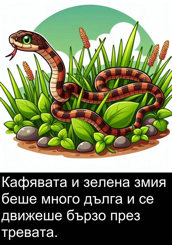движеше: Кафявата и зелена змия беше много дълга и се движеше бързо през тревата.