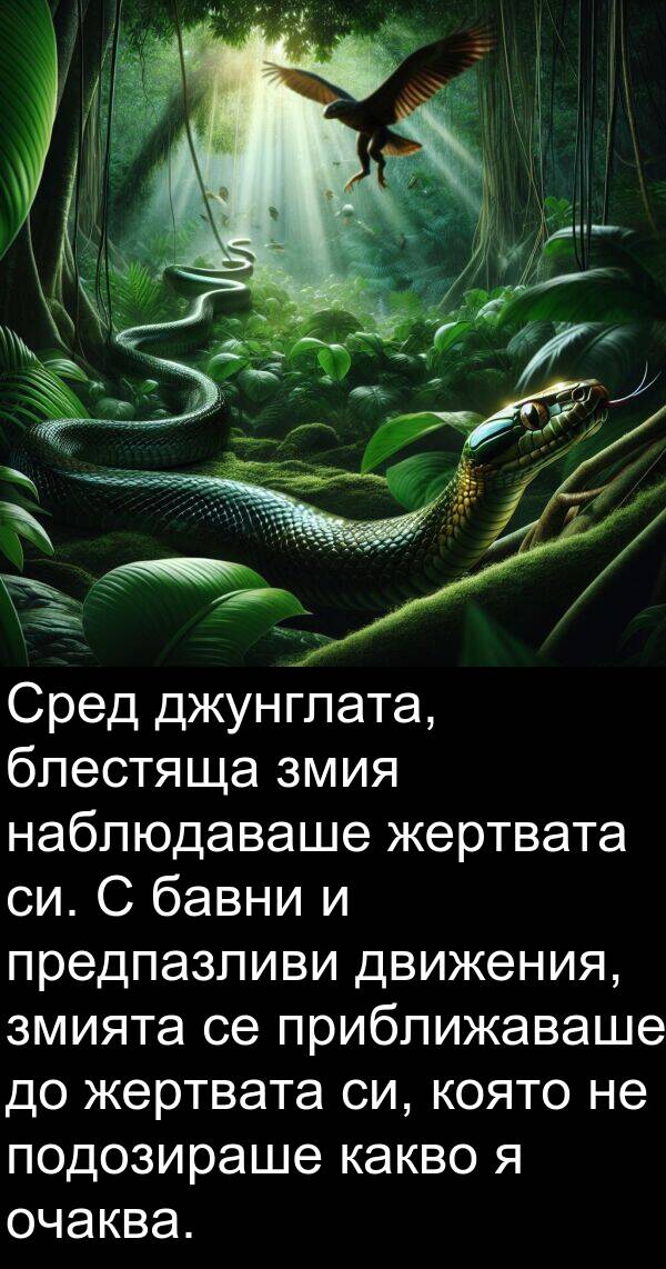 бавни: Сред джунглата, блестяща змия наблюдаваше жертвата си. С бавни и предпазливи движения, змията се приближаваше до жертвата си, която не подозираше какво я очаква.