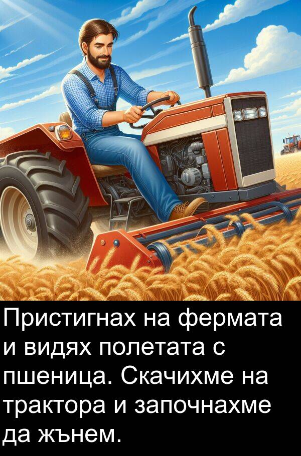 фермата: Пристигнах на фермата и видях полетата с пшеница. Скачихме на трактора и започнахме да жънем.
