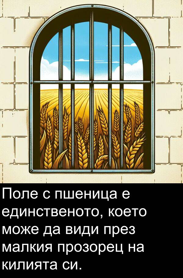 единственото: Поле с пшеница е единственото, което може да види през малкия прозорец на килията си.